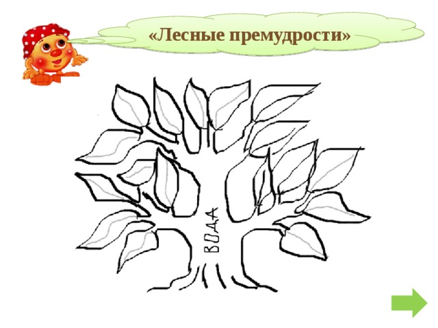 «Лесные премудрости» 