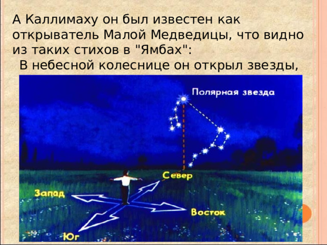 А Каллимаху он был известен как открыватель Малой Медведицы, что видно из таких стихов в 