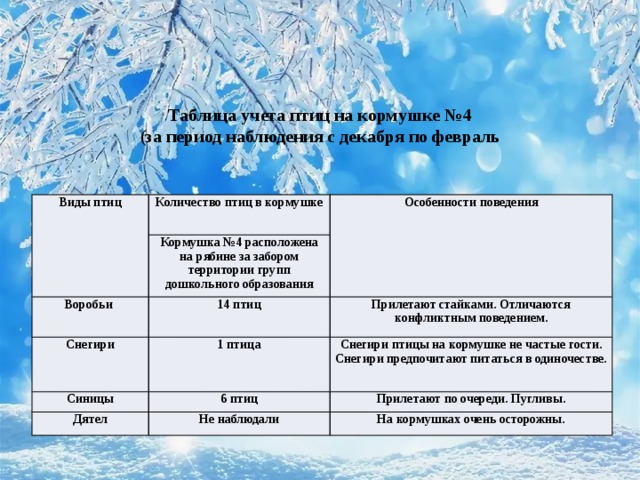 Таблица учета птиц на кормушке №4  (за период наблюдения с декабря по февраль Виды птиц   Количество птиц в кормушке Воробьи Особенности поведения   Кормушка №4 расположена на рябине за забором территории групп дошкольного образования 14 птиц   Снегири   Прилетают стайками. Отличаются конфликтным поведением. 1 птица Синицы 6 птиц Снегири птицы на кормушке не частые гости. Снегири предпочитают питаться в одиночестве. Дятел Прилетают по очереди. Пугливы. Не наблюдали На кормушках очень осторожны. 
