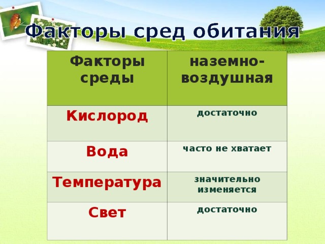 Факторы среды Кислород наземно-воздушная Вода достаточно   часто не хватает Температура  значительно изменяется Свет  достаточно  