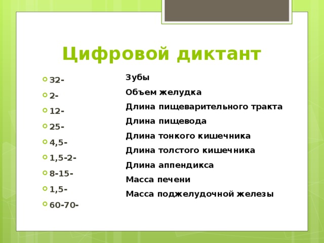 Цифровой диктант Зубы Объем желудка Длина пищеварительного тракта Длина пищевода Длина тонкого кишечника Длина толстого кишечника Длина аппендикса Масса печени Масса поджелудочной железы 32- 2- 12- 25- 4,5- 1,5-2- 8-15- 1,5- 60-70- 