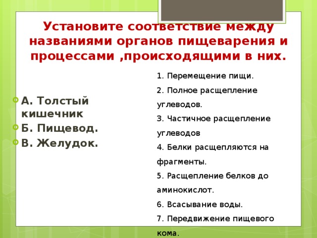 Установите соответствие между названиями органов пищеварения и процессами ,происходящими в них.   1. Перемещение пищи. 2. Полное расщепление углеводов. 3. Частичное расщепление углеводов 4. Белки расщепляются на фрагменты. 5. Расщепление белков до аминокислот. 6. Всасывание воды. 7. Передвижение пищевого кома. 8. Всасывание.  А. Толстый кишечник Б. Пищевод. В. Желудок. 