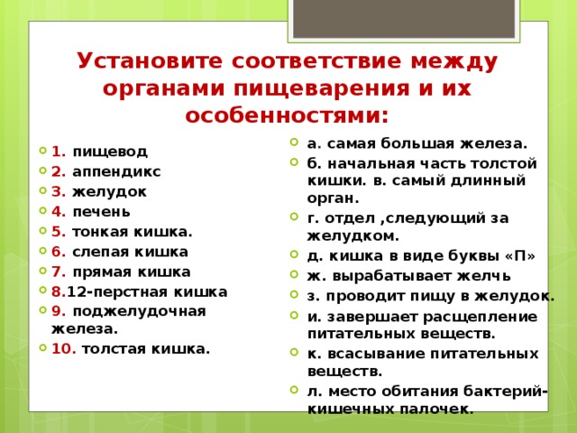 Установите соответствие между органами пищеварения и их особенностями: а . самая большая железа. б. начальная часть толстой кишки. в. самый длинный орган. г. отдел ,следующий за желудком. д. кишка в виде буквы «П» ж. вырабатывает желчь з. проводит пищу в желудок. и. завершает расщепление питательных веществ. к. всасывание питательных веществ. л. место обитания бактерий- кишечных палочек. 1. пищевод 2. аппендикс 3. желудок 4. печень 5. тонкая кишка. 6. слепая кишка 7. прямая кишка 8. 12-перстная кишка 9. поджелудочная железа. 10. толстая кишка. 