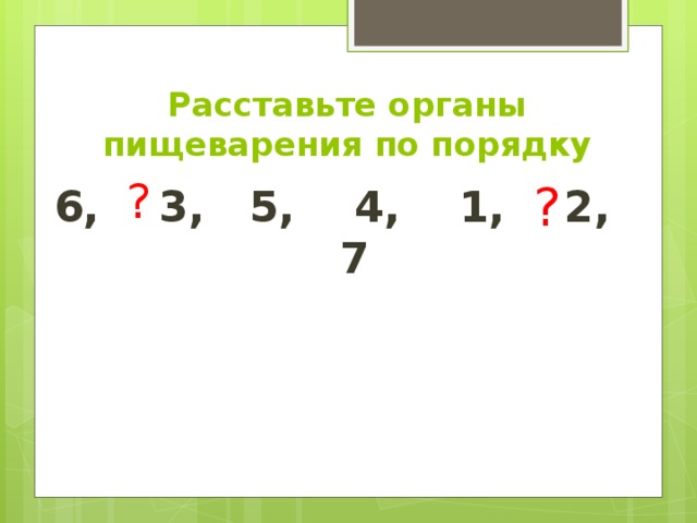 Расставьте органы пищеварения по порядку ? ? 6, 3, 5, 4, 1, 2, 7 