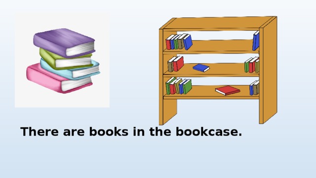 There are books in the bookcase. 