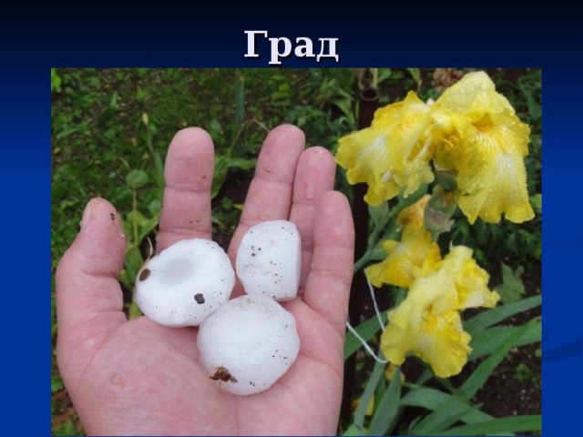 Град 