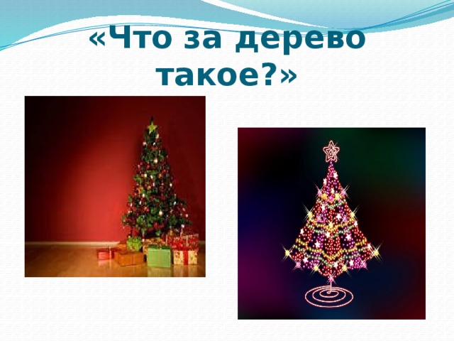 «Что за дерево такое?» 