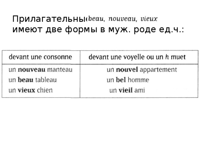 Прилагательные имеют две формы в муж. роде ед.ч.: 