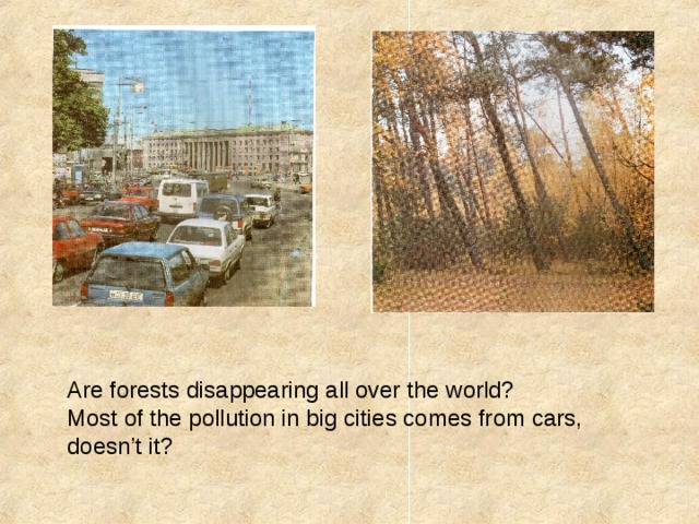 Are forests disappearing all over the world? Most of the pollution in big cities comes from cars, doesn’t it? 