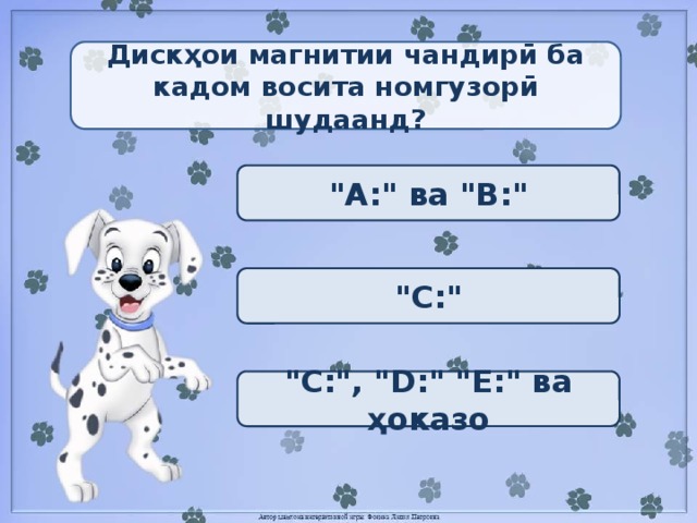 Дискҳои магнитии чандирӣ ба кадом восита номгузорӣ шудаанд? 