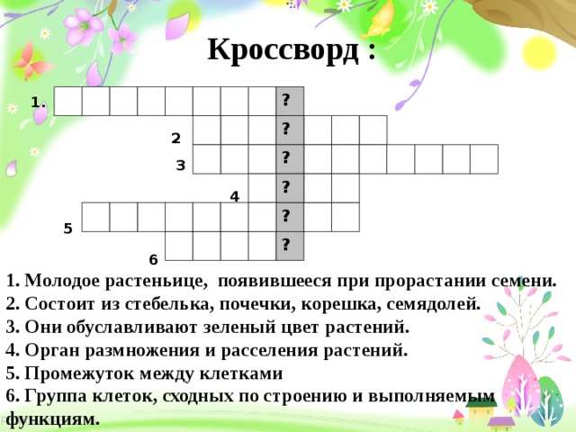 Кроссворд : ? 1. ? 2 ? 3 ? 4 ? 5 ? 6 1. Молодое растеньице, появившееся при прорастании семени. 2. Состоит из стебелька, почечки, корешка, семядолей. 3. Они обуславливают зеленый цвет растений. 4. Орган размножения и расселения растений. 5. Промежуток между клетками 6. Группа клеток, сходных по строению и выполняемым функциям. 