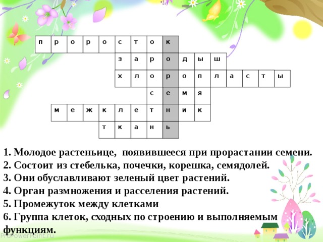 т о к о с р о р п о ы ш д а з р л о о р п т с а х л ы е м с я л к е т ж к и н м е ь т к а н 1. Молодое растеньице, появившееся при прорастании семени. 2. Состоит из стебелька, почечки, корешка, семядолей. 3. Они обуславливают зеленый цвет растений. 4. Орган размножения и расселения растений. 5. Промежуток между клетками 6. Группа клеток, сходных по строению и выполняемым функциям. 