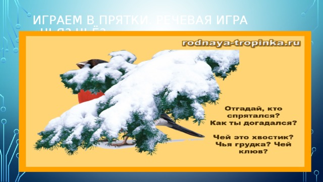 Играем в прятки. Речевая игра «Чья? Чьё?» 