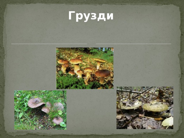 Грузди 