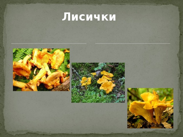 Лисички 