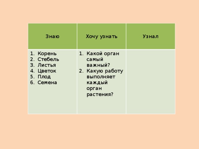 Знаю Хочу узнать Корень Стебель Листья Цветок Плод Семена Узнал Какой орган самый важный? Какую работу выполняет каждый орган растения? 