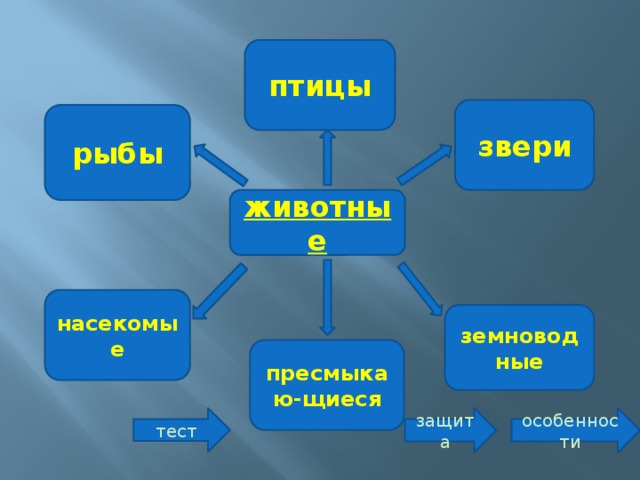 птицы звери рыбы животные насекомые земноводные пресмыкаю-щиеся особенности защита тест 