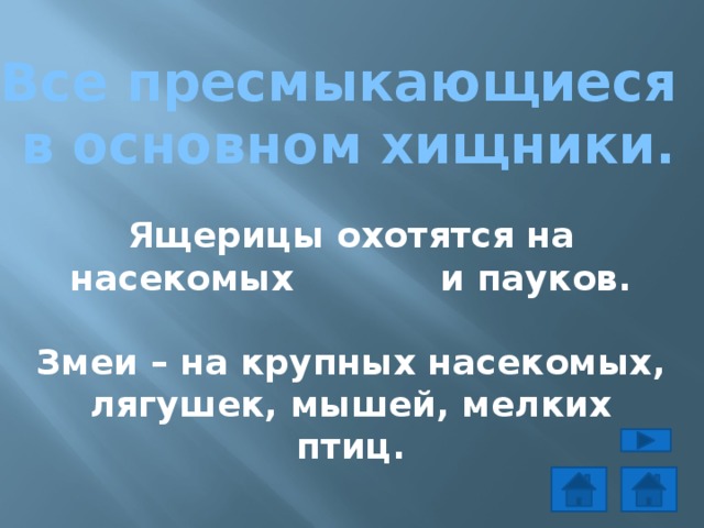 Все пресмыкающиеся в основном хищники.  Ящерицы охотятся на насекомых и пауков.  Змеи – на крупных насекомых, лягушек, мышей, мелких птиц. 