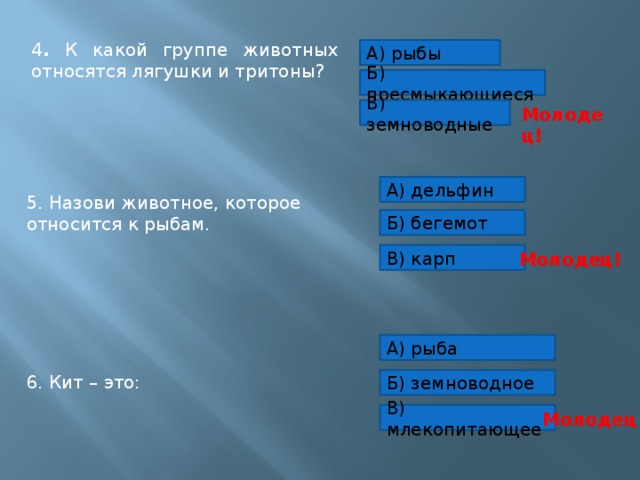 4 . К какой группе животных относятся лягушки и тритоны?   А) рыбы Б) пресмыкающиеся В) земноводные Молодец! 5. Назови животное, которое относится к рыбам. А) дельфин Б) бегемот Молодец! В) карп 6. Кит – это: А) рыба Б) земноводное В) млекопитающее Молодец! 