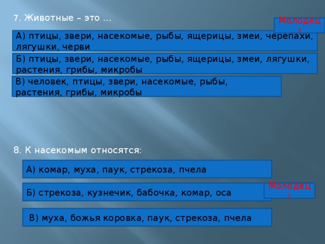 7. Животные – это ... Молодец! А) птицы, звери, насекомые, рыбы, ящерицы, змеи, черепахи, лягушки, черви Б) птицы, звери, насекомые, рыбы, ящерицы, змеи, лягушки, растения, грибы, микробы В) человек, птицы, звери, насекомые, рыбы, растения, грибы, микробы 8. К насекомым относятся:    А) комар, муха, паук, стрекоза, пчела Б) стрекоза, кузнечик, бабочка, комар, оса Молодец!  В) муха, божья коровка, паук, стрекоза, пчела 