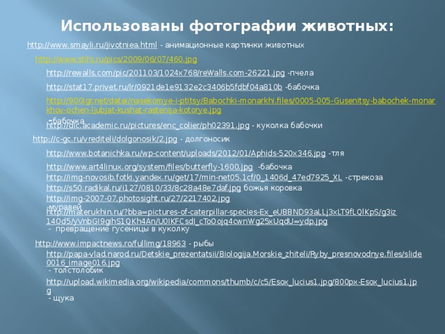 Использованы фотографии животных: http://www.smayli.ru/jivotniea.html  - анимационные картинки животных http://www.stihi.ru/pics/2009/06/07/460.jpg http://rewalls.com/pic/201103/1024x768/reWalls.com-26221.jpg  -пчела http://stat17.privet.ru/lr/0921de1e9132e2c3406b5fdbf04a810b  -бабочка http://900igr.net/datai/nasekomye-i-ptitsy/Babochki-monarkhi.files/0005-005-Gusenitsy-babochek-monarkhov-ochen-ljubjat-kushat-rastenija-kotorye.jpg  - бабочка http://dic.academic.ru/pictures/enc_colier/ph02391.jpg  - куколка бабочки http://c-gc.ru/vrediteli/dolgonosik/2.jpg  - долгоносик http://www.botanichka.ru/wp-content/uploads/2012/01/Aphids-520x346.jpg  -тля http://www.art4linux.org/system/files/butterfly-1600.jpg  -бабочка http://img-novosib.fotki.yandex.ru/get/17/min-net05.1cf/0_1406d_47ed7925_XL  -стрекоза http://s50.radikal.ru/i127/0810/33/8c28a48e7daf.jpg  божья коровка http://img-2007-07.photosight.ru/27/2217402.jpg  -муравей http://materukhin.ru/?bba=pictures-of-caterpillar-species-Ex_eUBBND93aLLj3xLT9fLQlKpS/g3iz14Od5/yVnbGI9gihS1QKh4An/U0IKFCsdI_cToOojq4cwnWg25xUqdU=ydp.jpg  - превращение гусеницы в куколку http://www.impactnews.ro/fullimg/18963  - рыбы http://papa-vlad.narod.ru/Detskie_prezentatsii/Biologija.Morskie_zhiteli/Ryby_presnovodnye.files/slide0016_image016.jpg  - толстолобик http://upload.wikimedia.org/wikipedia/commons/thumb/c/c5/Esox_lucius1.jpg/800px-Esox_lucius1.jpg  - щука 