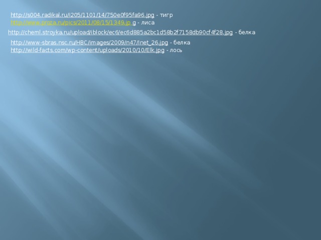 http://s004.radikal.ru/i205/1101/14/750e0f95fa96.jpg  - тигр http://www.proza.ru/pics/2011/08/15/1349.jp  g  - лиса http://cheml.stroyka.ru/upload/iblock/ec6/ec6d885a2bc1d58b2f7158db90cf4f28.jpg  - белка http://www-sbras.nsc.ru/HBC/images/2009/n47/Inet_26.jpg  - белка http://wild-facts.com/wp-content/uploads/2010/10/Elk.jpg  - лось 