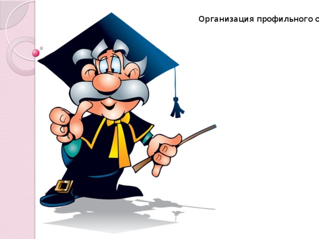 Организация профильного обучения 