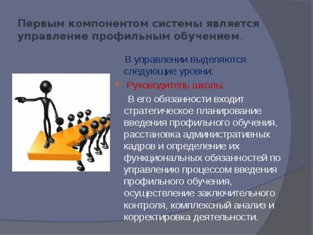 Первым компонентом системы является управление профильным обучением .  В управлении выделяются следующие уровни:  Руководитель школы.  В его обязанности входит стратегическое планирование введения профильного обучения, расстановка административных кадров и определение их функциональных обязанностей по управлению процессом введения профильного обучения, осуществление заключительного контроля, комплексный анализ и корректировка деятельности. 