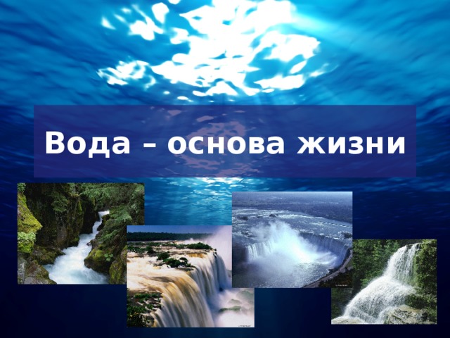 Вода – основа жизни 