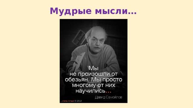 Мудрые мысли… 