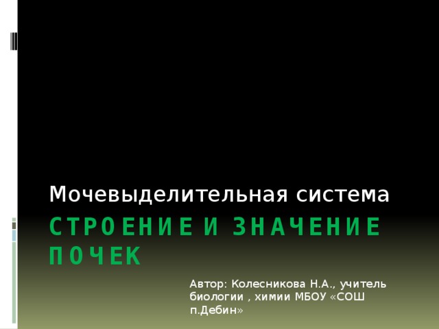 Мочевыделительная система Строение и значение почек Автор: Колесникова Н.А., учитель биологии , химии МБОУ «СОШ п.Дебин» 