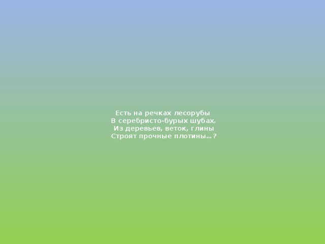 Есть на речках лесорубы  В серебристо-бурых шубах.  Из деревьев, веток, глины  Строят прочные плотины…?   