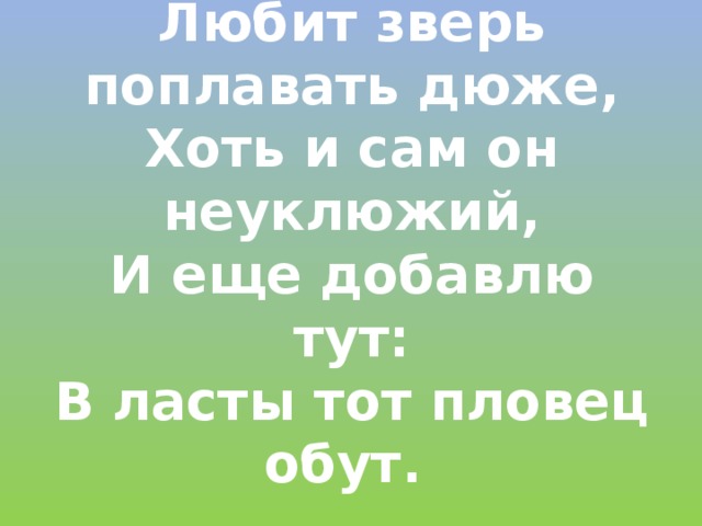 Любит зверь поплавать дюже,  Хоть и сам он неуклюжий,  И еще добавлю тут:  В ласты тот пловец обут.  