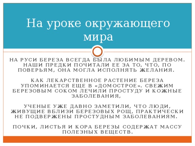 На уроке окружающего мира На Руси береза всегда была любимым деревом. Наши предки почитали ее за то, что, по поверьям, она могла исполнять желания.   Как лекарственное растение береза упоминается еще в «Домострое». Свежим березовым соком лечили простуду и кожные заболевания,   Ученые уже давно заметили, что люди, живущие вблизи березовых рощ, практически не подвержены простудным заболеваниям.   Почки, листья и кора березы содержат массу полезных веществ. 