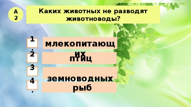 Каких животных не разводят животноводы? А2  млекопитающих 1.  птиц 2.  земноводных 3. 4.  рыб 