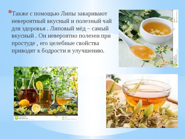 Также с помощью Липы заваривают невероятный вкусный и полезный чай для здоровья . Липовый мёд – самый вкусный . Он невероятно полезен при простуде , его целебные свойства приводят к бодрости и улучшению. 