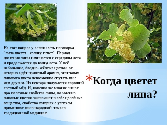 На этот вопрос у славян есть поговорка - 