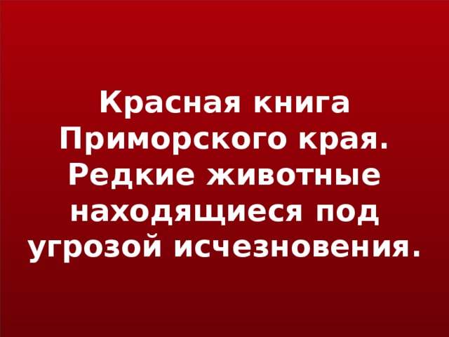 Красная книга Приморского края. Редкие животные находящиеся под угрозой исчезновения.    
