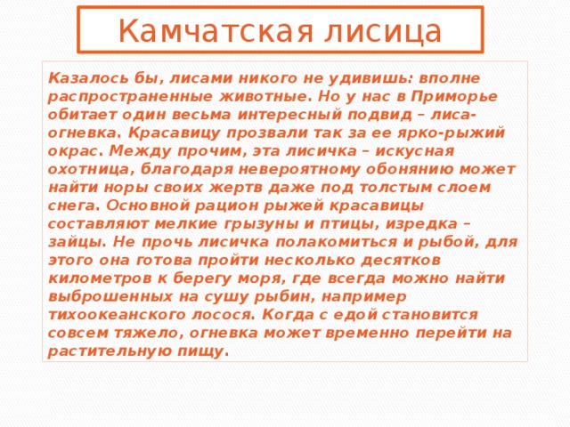 Камчатская лисица Казалось бы, лисами никого не удивишь: вполне распространенные животные. Но у нас в Приморье обитает один весьма интересный подвид – лиса-огневка. Красавицу прозвали так за ее ярко-рыжий окрас. Между прочим, эта лисичка – искусная охотница, благодаря невероятному обонянию может найти норы своих жертв даже под толстым слоем снега. Основной рацион рыжей красавицы составляют мелкие грызуны и птицы, изредка – зайцы. Не прочь лисичка полакомиться и рыбой, для этого она готова пройти несколько десятков километров к берегу моря, где всегда можно найти выброшенных на сушу рыбин, например тихоокеанского лосося. Когда с едой становится совсем тяжело, огневка может временно перейти на растительную пищу.   