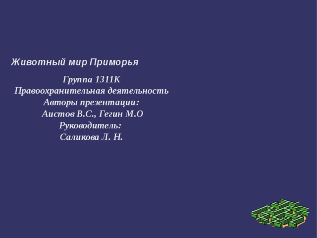    Группа 1311К Правоохранительная деятельность Авторы презентации:  Аистов В.С., Гегин М.О Руководитель: Саликова Л. Н. Животный мир Приморья 