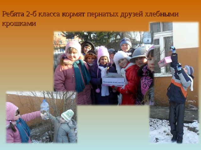Ребята 2-б класса кормят пернатых друзей хлебными крошками 