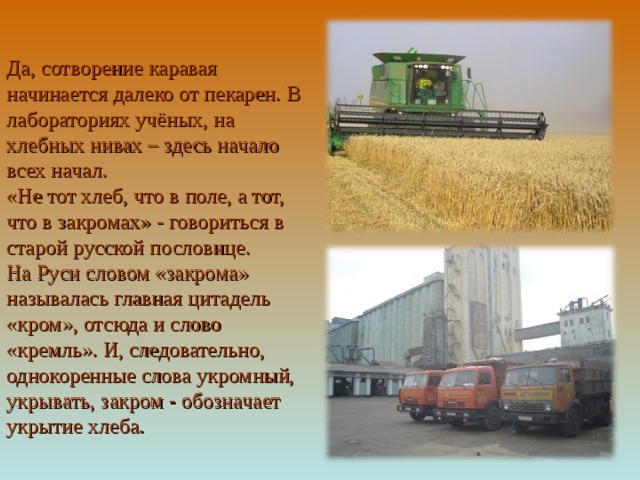 Да, сотворение каравая начинается далеко от пекарен. В лабораториях учёных, на хлебных нивах – здесь начало всех начал. «Не тот хлеб, что в поле, а тот, что в закромах» - говориться в старой русской пословице. На Руси словом «закрома» называлась главная цитадель «кром», отсюда и слово «кремль». И, следовательно, однокоренные слова укромный, укрывать, закром - обозначает укрытие хлеба. 