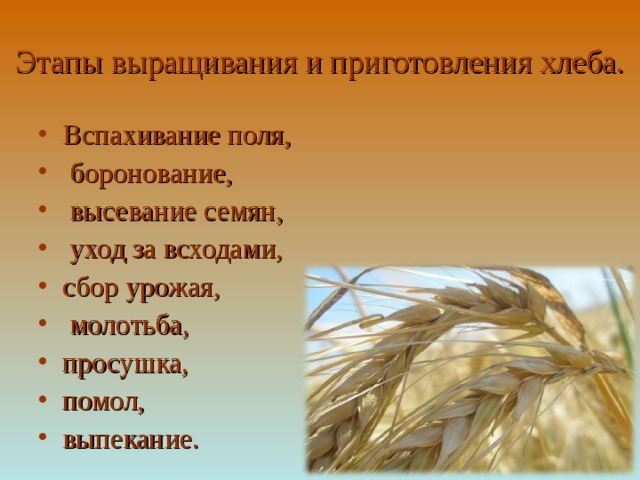 Этапы выращивания и приготовления хлеба. Вспахивание поля,  боронование,  высевание семян,  уход за всходами, сбор урожая,  молотьба, просушка, помол, выпекание. 