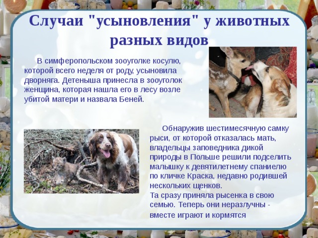 Случаи 