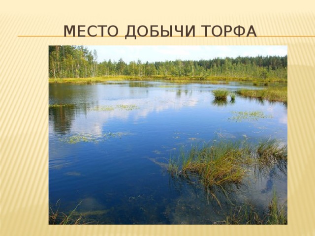 Место добычи торфа 