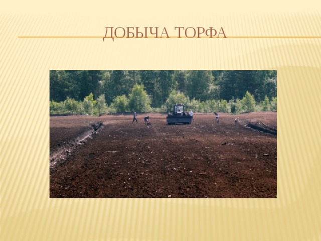 ДОБЫЧА  ТОРФА 