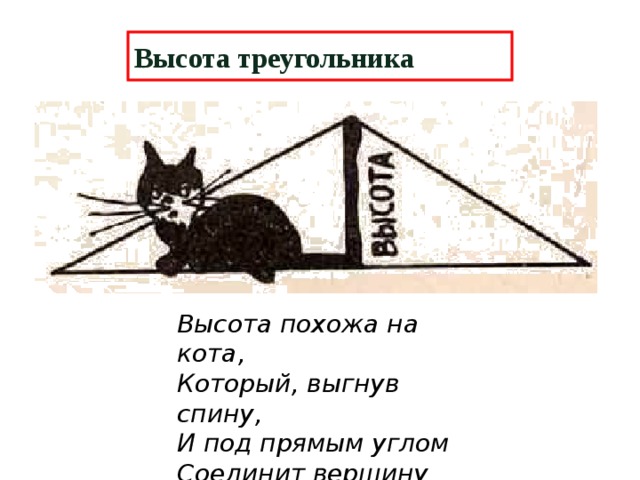 Высота треугольника Высота похожа на кота,  Который, выгнув спину,  И под прямым углом  Соединит вершину  И сторону хвостом. 6 