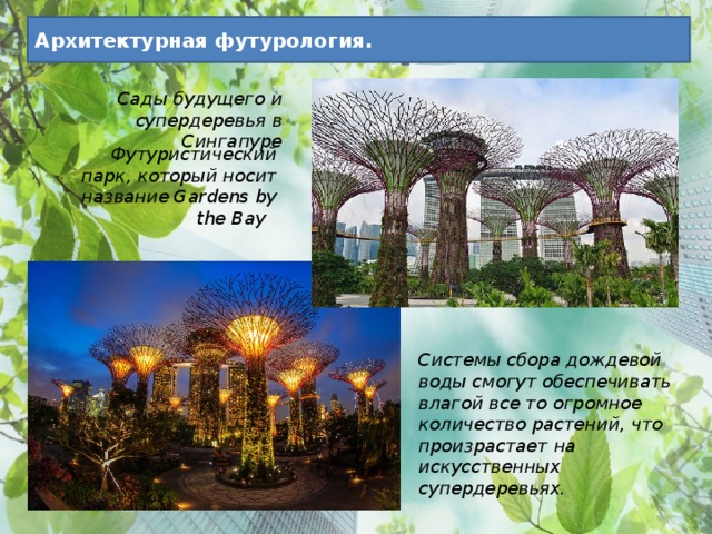 Архитектурная футурология. Сады будущего и супердеревья в Сингапуре  Футуристический парк, который носит название Gardens by the Bay    Системы сбора дождевой воды смогут обеспечивать влагой все то огромное количество растений, что произрастает на искусственных супердеревьях.   