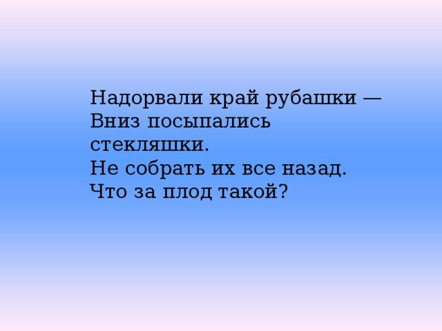 Надорвали край рубашки — Вниз посыпались стекляшки. Не собрать их все назад. Что за плод такой? 
