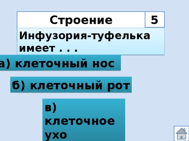 Строение простейших 5 Инфузория-туфелька имеет . . . а) клеточный нос  б) клеточный рот в) клеточное ухо 